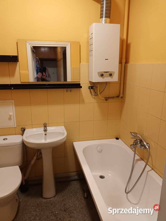 mieszkanie na wynajem Poznań