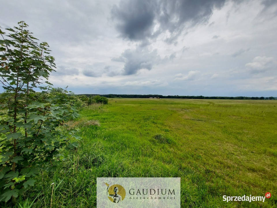 Malownicze działki brzegiem rzekiZielona Góra Karszyn