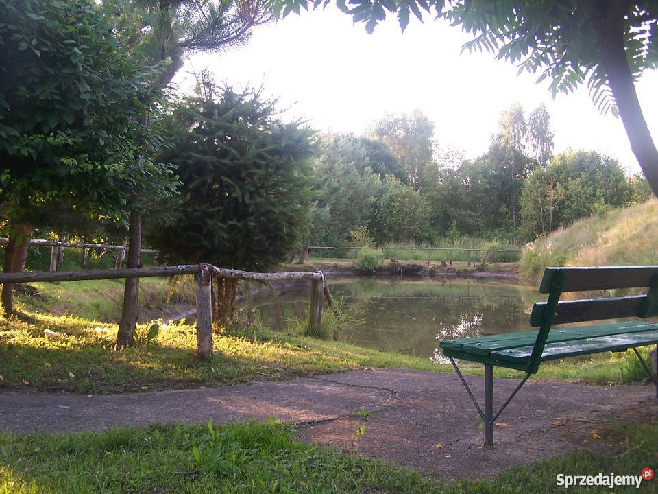 Sprzedam siedlisko Kalisz sprzedam