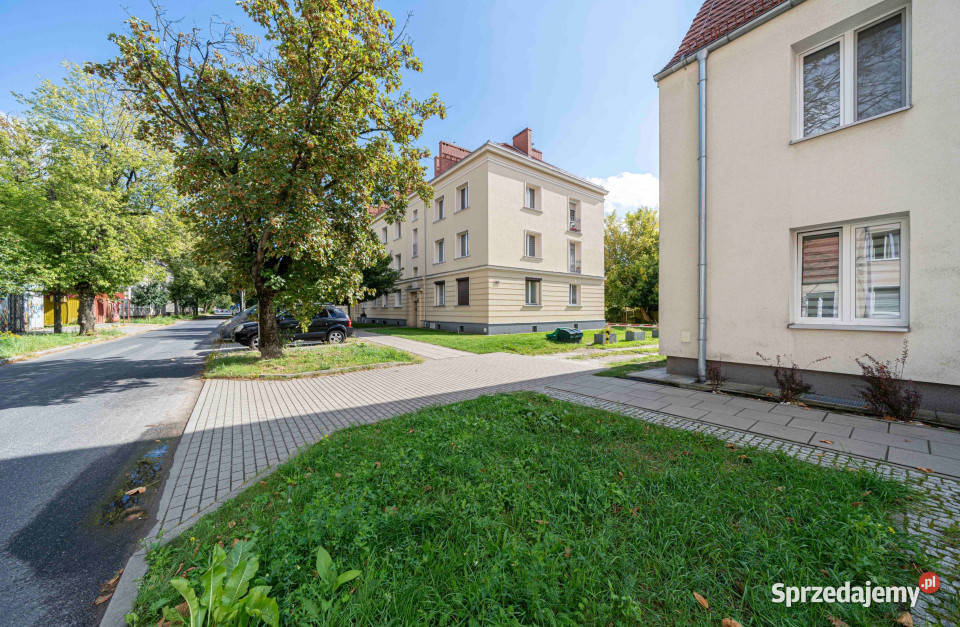 Jasne mieszkanie 379 m do wynajęcia Poznań