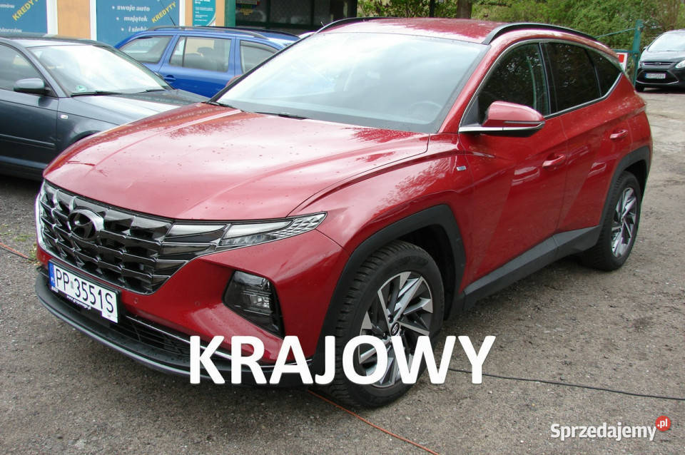 Hyundai Tucson 16 TGDI 48V 2WD 7DCT 150 IV 2020 1598cm3