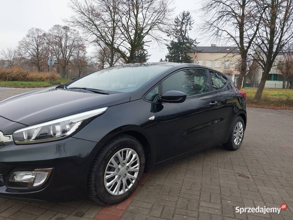 Kia ceed proceed 14 benz oryg przebieg 64 manualna Głowno