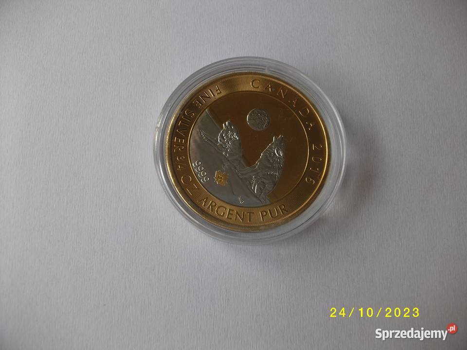 Moneta 2 Kanada 2016r Potulice