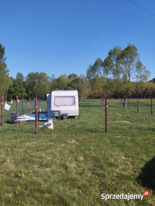 Wynajmę działkę w górach Jeleśnia pod Żywcem