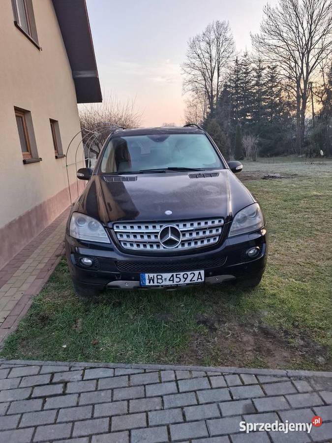 Sprzedam Brzozów sprzedam