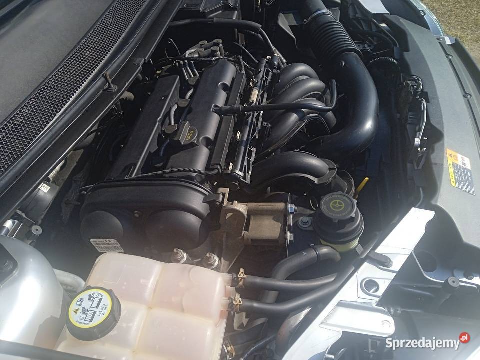 Zadbany Focus16 BenzynaKlimatyzacja świętokrzyskie