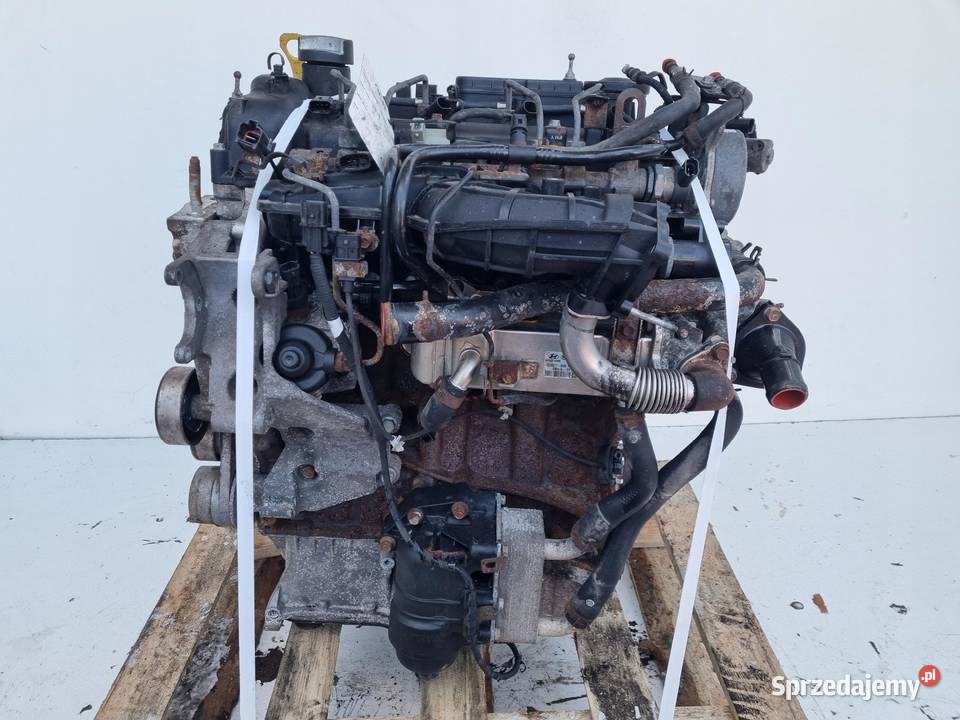 SILNIK KOMPLET Hyundai Santa Fe II 22 CRDI 197 Rudka