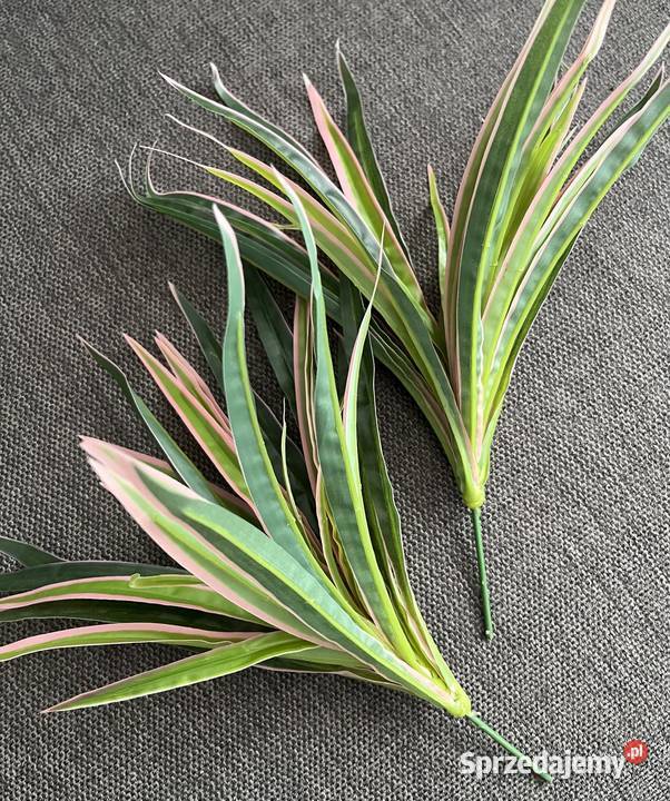 Sztuczna palma kwiat dracena marginata sprzedam