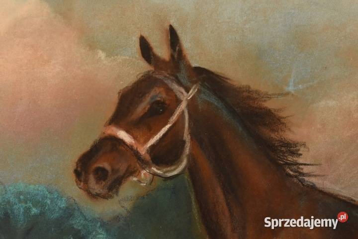Jerzy Kossak Galopujący Koń Arabski Obraz Pastel Kraków