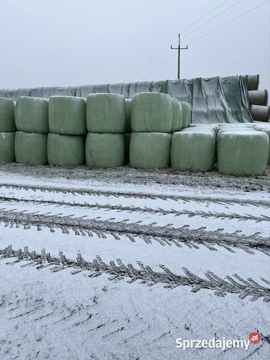 Sianokiszonką pierwszy pokos Pozostałe opolskie