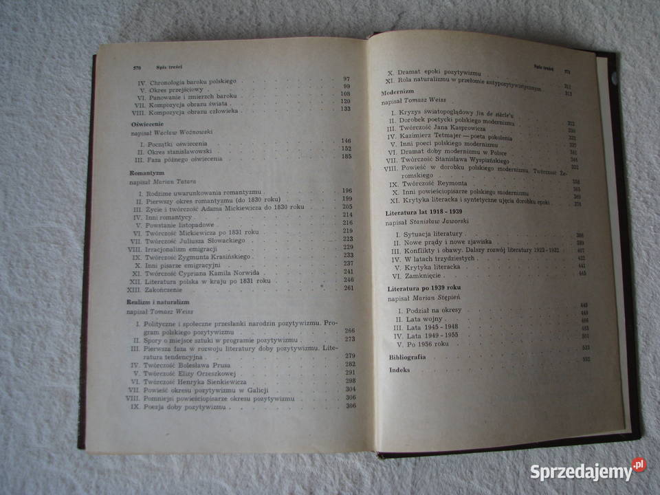 Historia literatury polskiej w zarysie M Stępień Brzegi