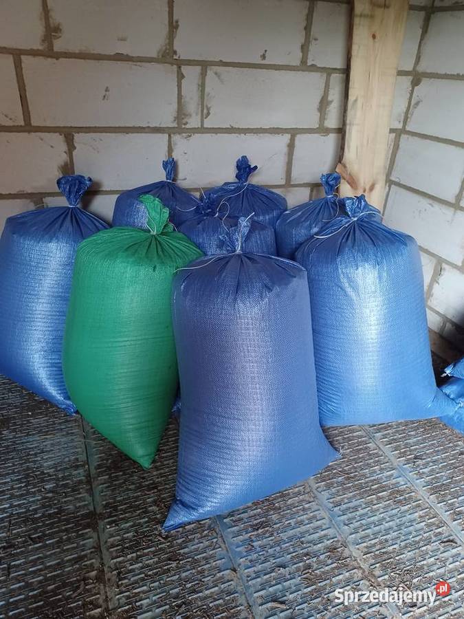 Nasiona arcydziegiel lubelskie Kraśniczyn sprzedam