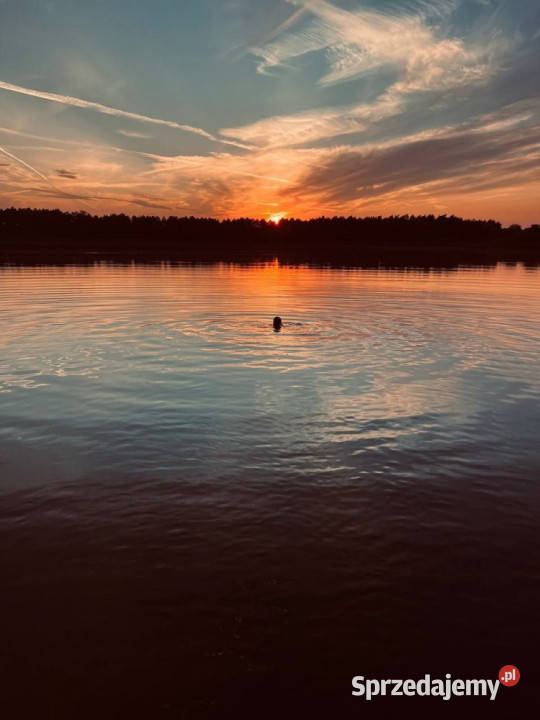 Działka z linią brzegową i prywatną plażą kujawsko-pomorskie Żnin