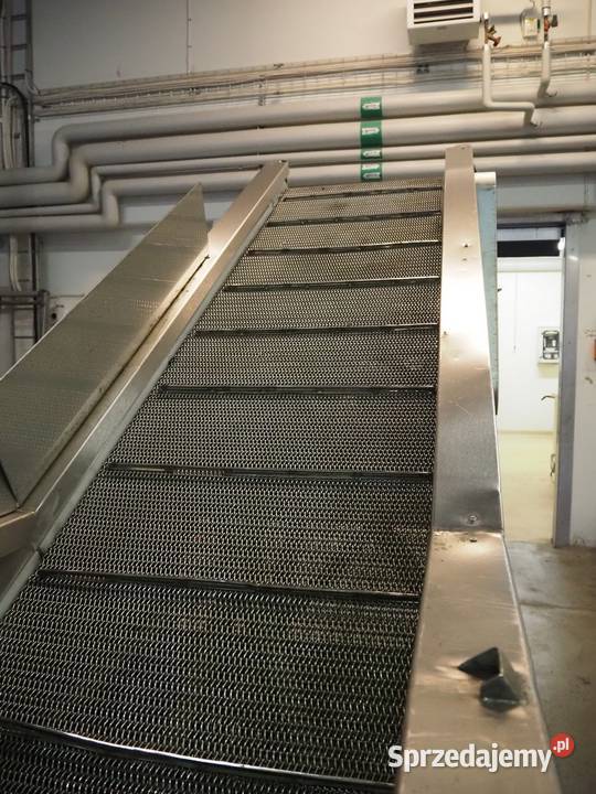 Myjka do warzyw z podnoszoną taśmą Biznes i Przemysł wielkopolskie Krotoszyn