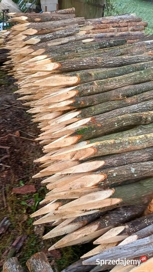 Faszynowanie stawów Grębków