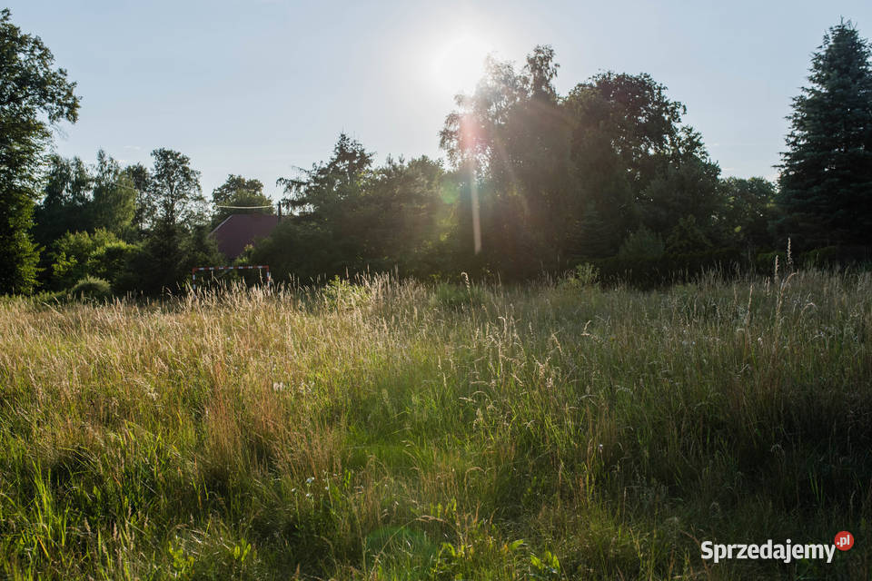 Piękna działka w Halinowie Budziska 2000m2 Warszawa