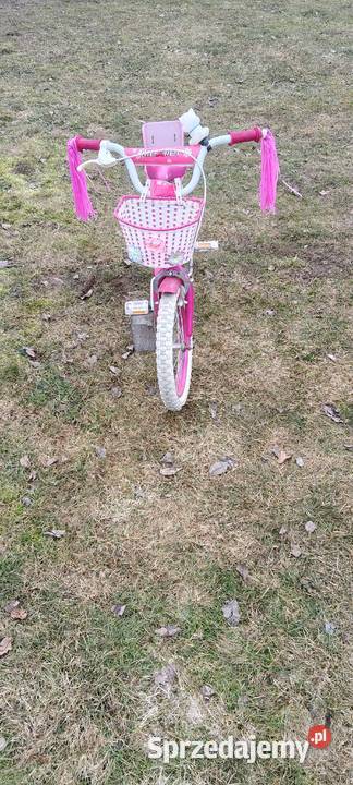 Sprzedam Aleksandria sprzedam