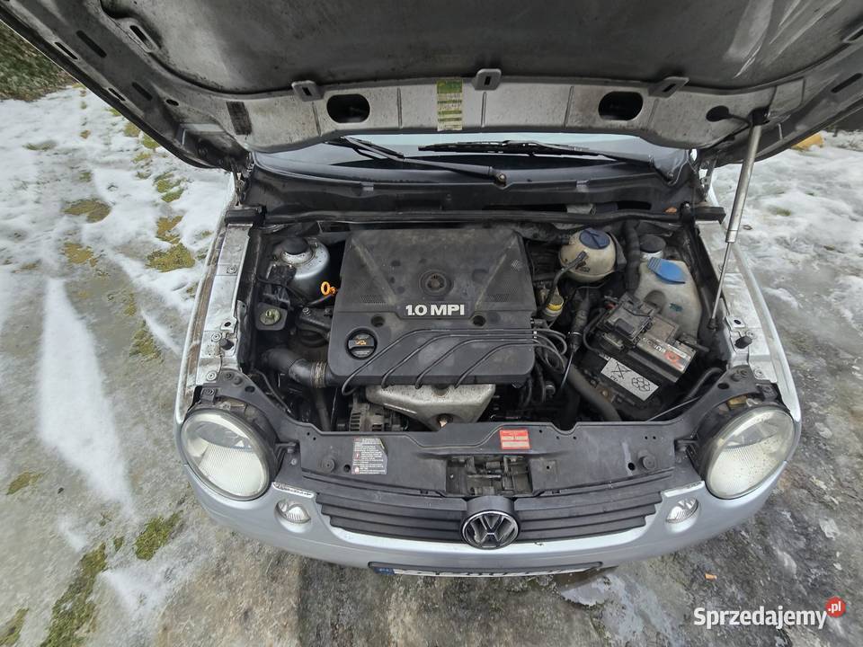 Vw Lupo 10 2003 r Zero rdzy śląskie Orzech sprzedam
