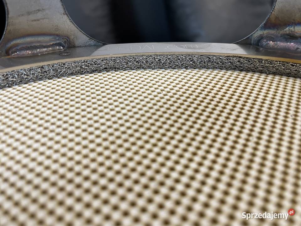 Nowy DPF DAF 106 w Sopocie Gdańsk