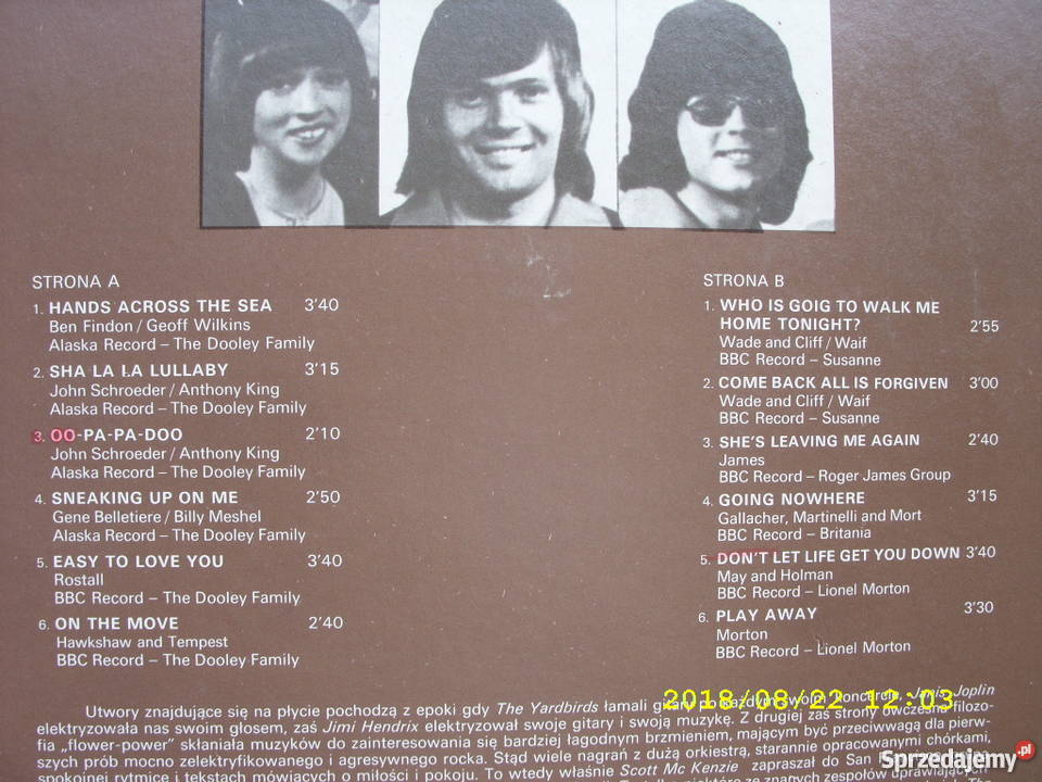 THE DOOLEY FAMILY AND THE OTHERS LP winyl Wołów