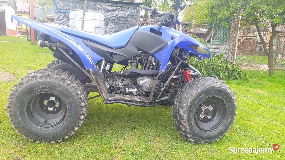 Aeon cobra 220 Frysztak