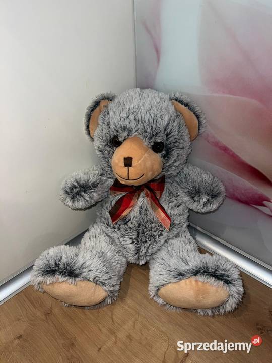 Piękny niebieski misiu z czerwoną kokardką Gdańsk