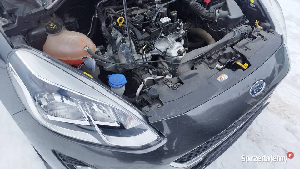 Fiesta mk8 VIII kompletny przód kolor QH 2019 11 Rok produkcji 2019 śląskie Żywiec