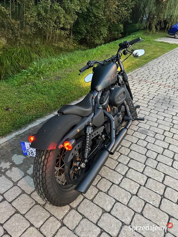 HarleyDavidson Iron 883 custom mazowieckie Suwaki