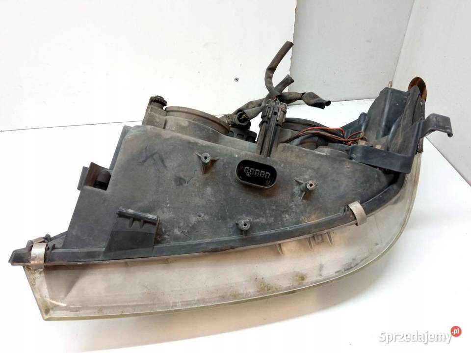 LAMPA PRZÓD PRAWA EU XENON P12 1EJ23801102 Oświetlenie świętokrzyskie