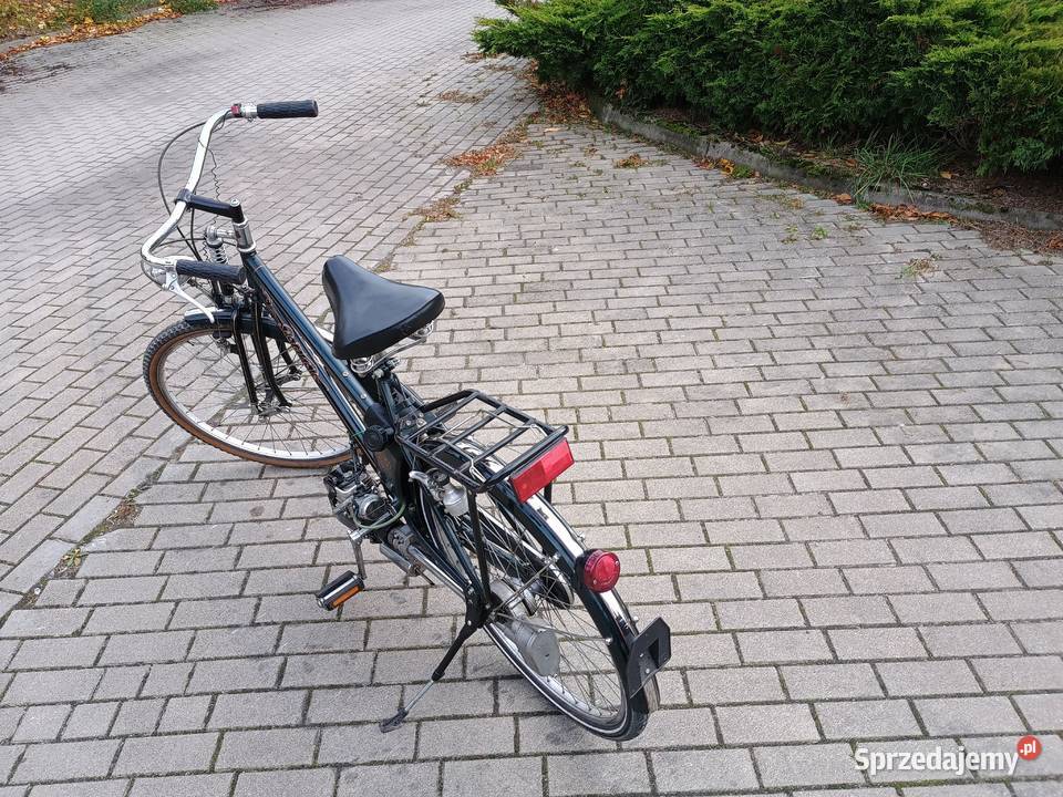 Bicicletta Pizeta Scoiattolo rower z silnikiem warmińsko-mazurskie Kurzętnik