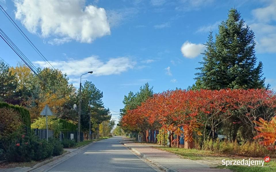 Działka 1050 m Rusiec cisza szkoła 700 m media 3