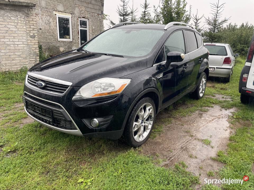 Ford kuga Kuga Kuga Sępólno Krajeńskie