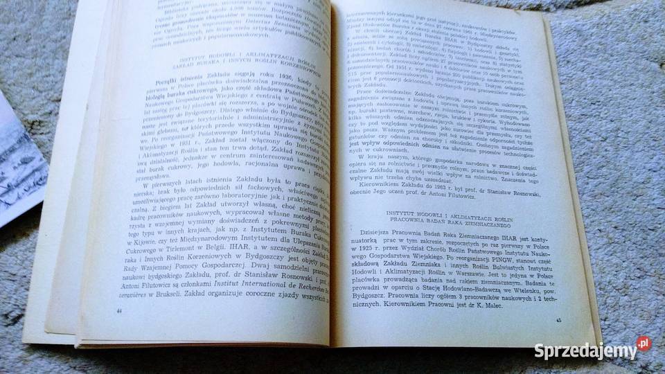 Bydgostiana 2 19621963 Bydgoskie Towarzystwo Książki naukowe i popularnonaukowe Gdańsk sprzedam