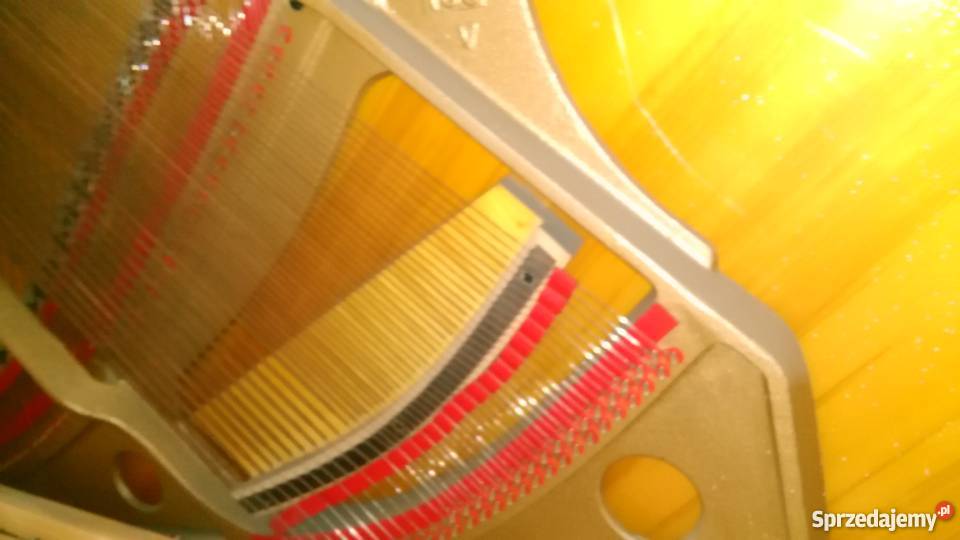 Pianino Zimmermann dobra marka stan Kędzierzyn-Koźle