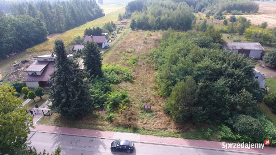 Działka Dąbrowica Ludwin 105 ar media Dąbrowa