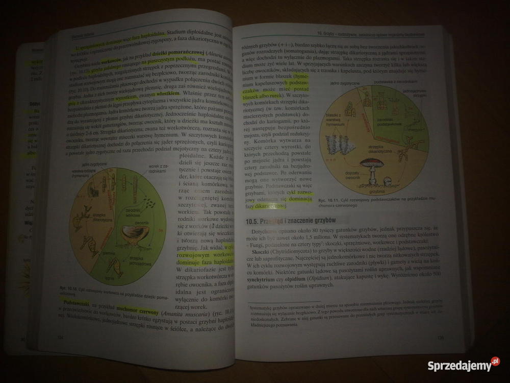 Biologia 1 Zakres rozszerzony Liceum Ogólnokształcące OPERON Waldemar