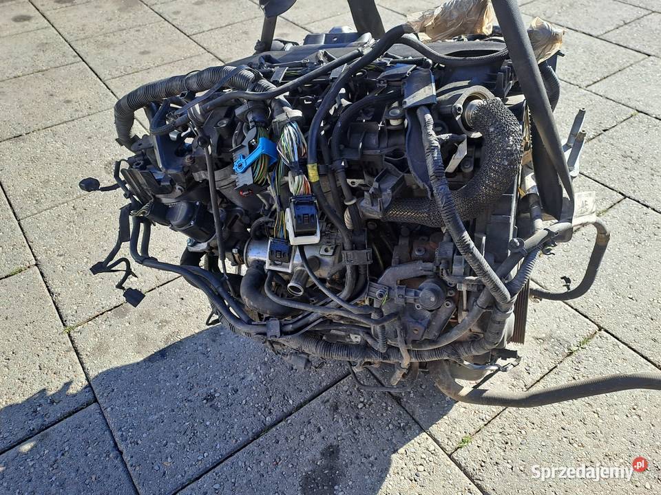 Ford Fokus 2010r 16 TDCi silnik kompletny kod Silniki kompletne śląskie