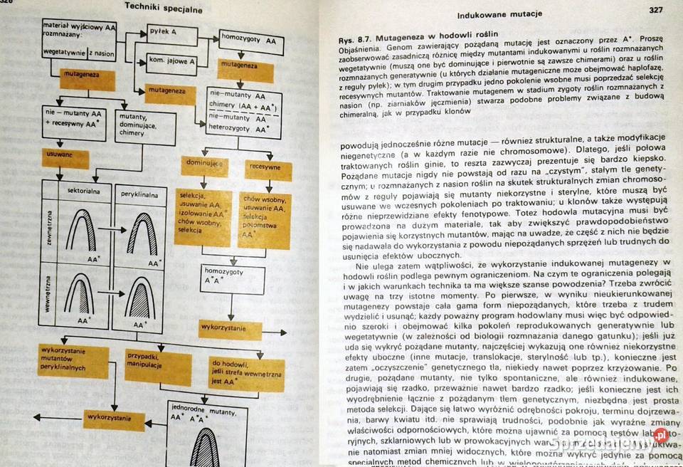 Podstawy hodowli roślin N W Simmonds