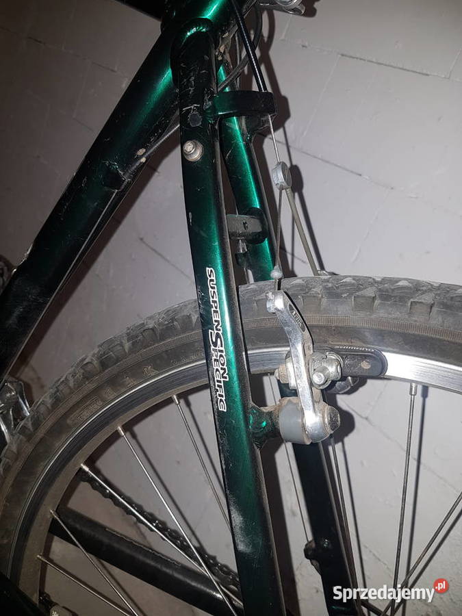 Mongoose Alta 1996 Sport i Wypoczynek