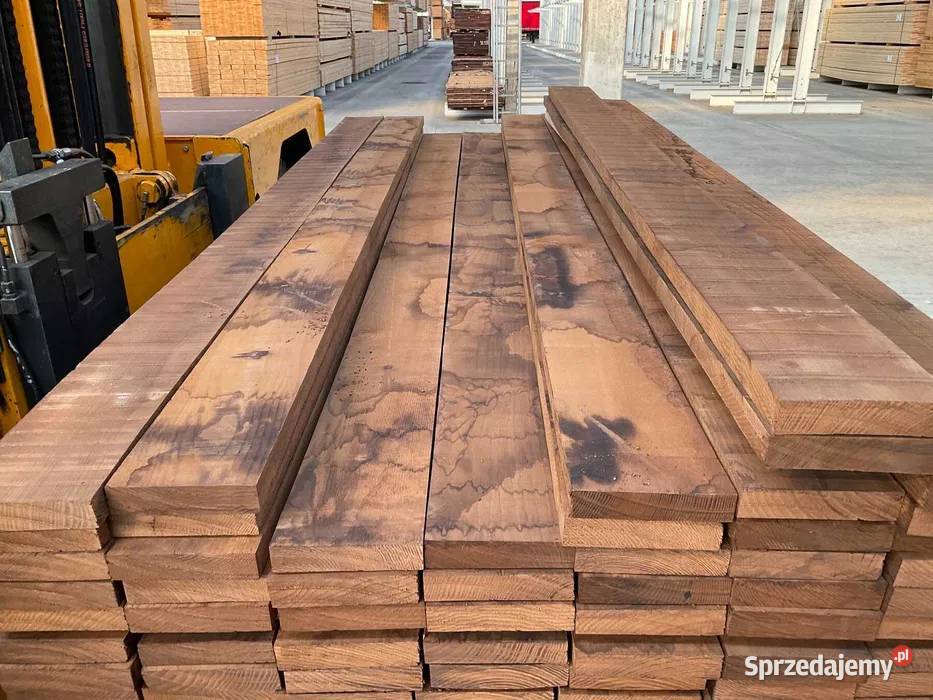 TARCICA KANTÓWKA THERMO TERMO JESION EUROPEJSKI Prusice