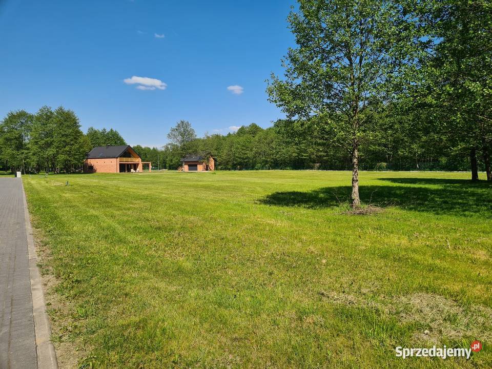 Na szlaku z mediami Harsz