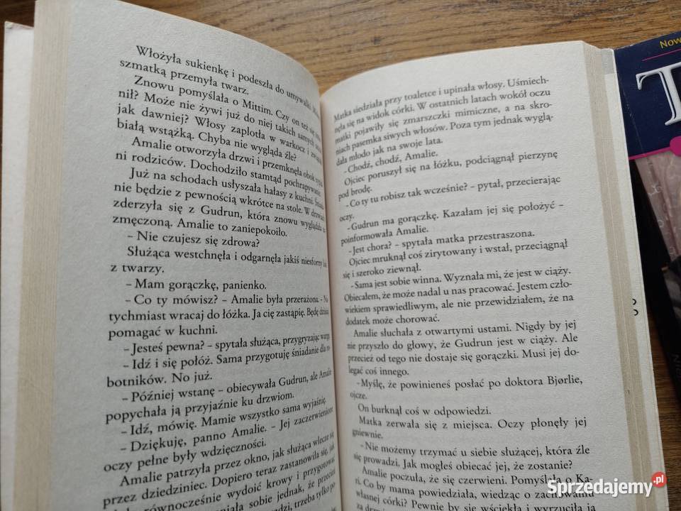 Tajemnica wodospaduJorunn Johansen 1 i 2 tom Kraków sprzedam