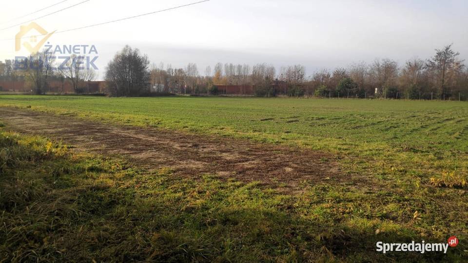 Sprzedam działki budowlanousługowe w Lubiejewie Lubiejew