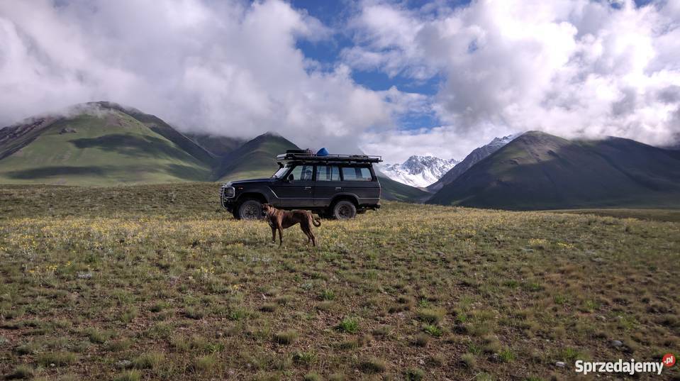 Toyota Land Cruiser HJ60 diesel Pozostałe Kwidzyn sprzedam