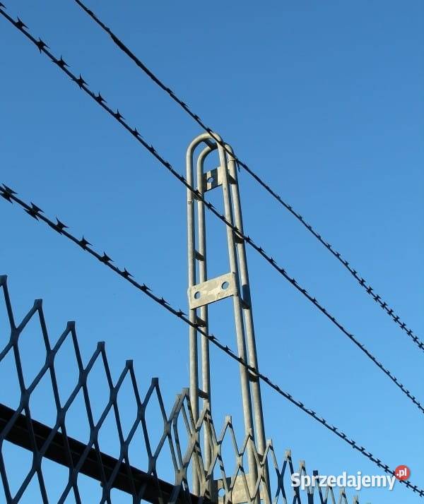 Drut ostrzowy żyletkowy ocynkowany prosty z Szczecin sprzedam