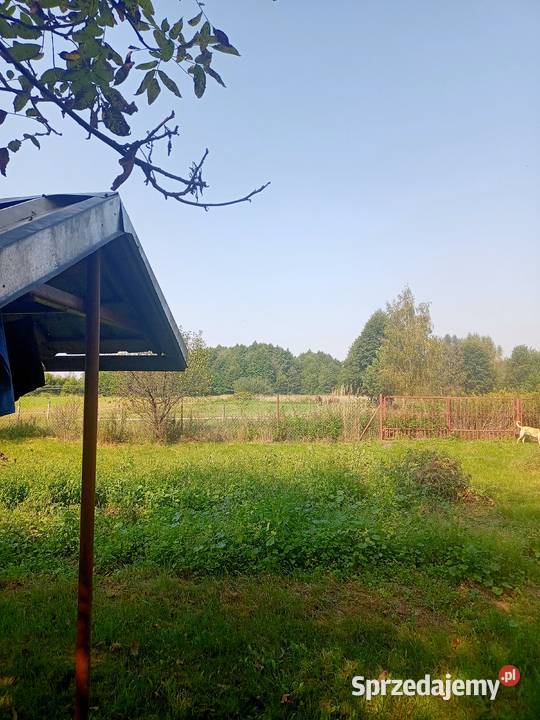 Sprzedam dom murowany plus budynki gospodarcze Nieruchomości Sarny