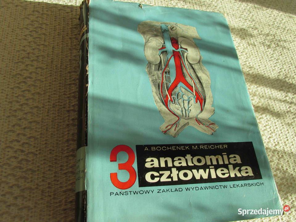 Anatomia CzłowiekaBochenek Tom3 PZWL 1974r Lipki Wielkie