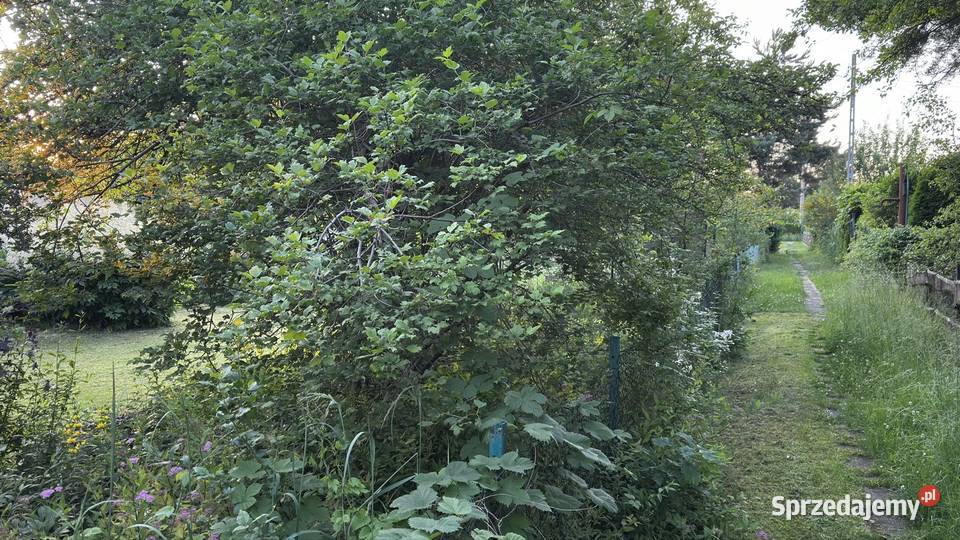 Sprzedam działkę w ROD ODRODZENIE 400m2 Łódź