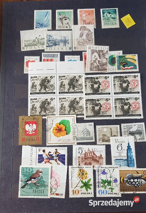 Znaczki pocztowe różne 10 Zielona Góra