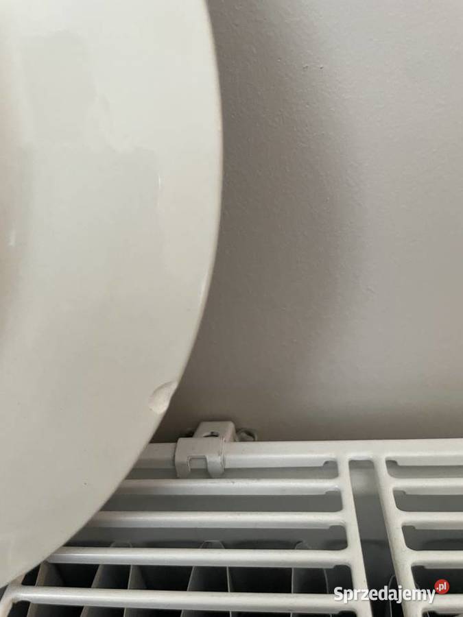 stary talerz dekoracyjny pomorskie sprzedam